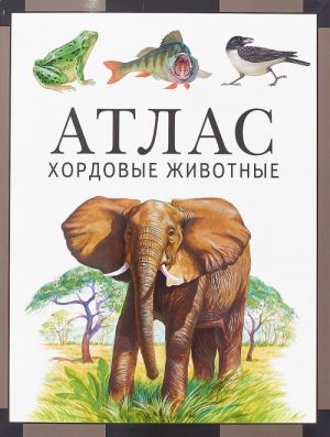 Khordovye zhivotnye. Atlas