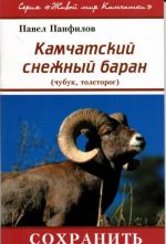 Kamchatskij snezhnyj baran (chubuk, tolstorog)