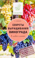 Sekrety vyraschivanija vinograda v ljubom klimate. Proverennye sposoby formirovki vinograda