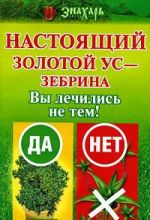 Настоящий золотой ус - зебрина. Вы лечились не тем!