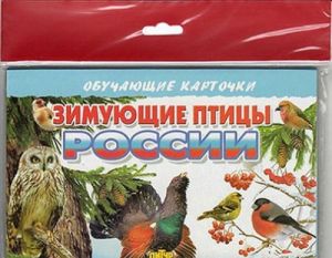 Зимующие птицы России (в европакете)