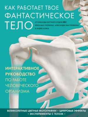 Как работает твое фантастическое тело