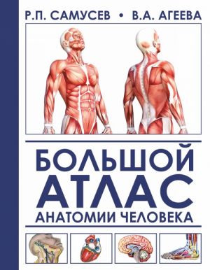 Bolshoj atlas anatomii cheloveka