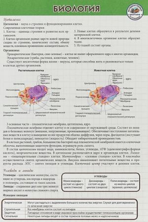 Биология. Шпаргалка