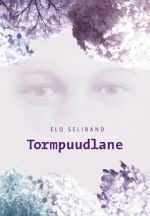 Tormpuudlane