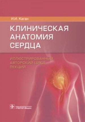 Клиническая анатомия сердца. Иллюстрированный авторский цикл лекций