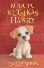 Kodutu kutsikas harry