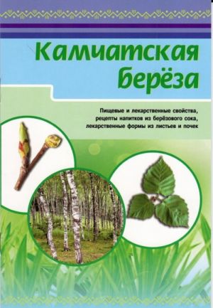 Kamchatskaja bereza. Pischevye i lekarstennye svojstva, retsepty napitkov iz berjozovogo soka, lekarstvennye formy iz listev i pochek