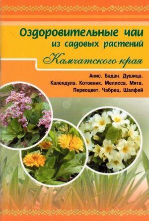 Ozdorovitelnye chai iz sadovykh rastenij Kamchatskogo kraja. Anis. Badan. Dushitsa. Kalendula. Kotovnik. Melissa. Mjata. Pervotsvet. Chabrets. Shalfej