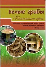 Belye griby Kamchatskogo kraja. Opisanie vidov kamchatskikh belykh gribov, retsepty domashnikh zagotovok i bljud iz nikh