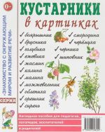 Kustarniki v kartinkakh. Nagljadnoe posobie dlja pedagogov, logopedov, vospitatelej i roditelej