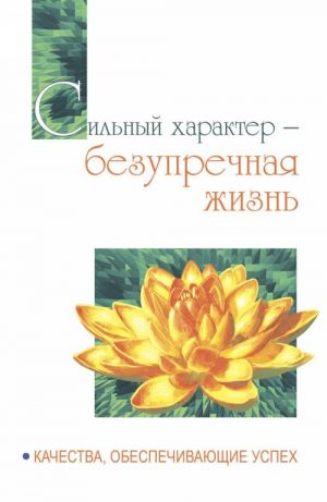 Сильный характер - безупречная жизнь. Качества, обеспечивающие успех