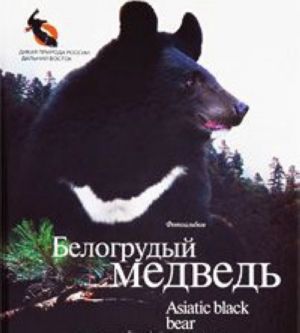 Belogrudyj medved / Asiatic Black Bear