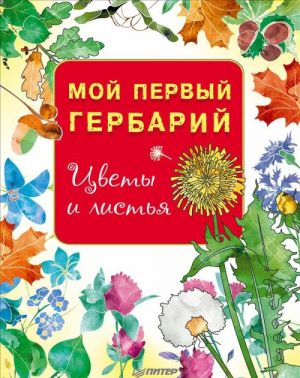 Мой первый гербарий.Цветы и листья