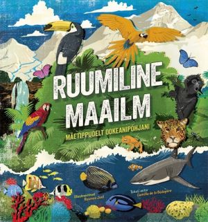 Ruumiline maailm