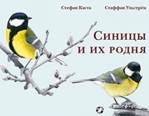 Синицы и их родня