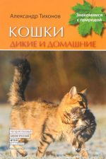 Кошки дикие и домашние