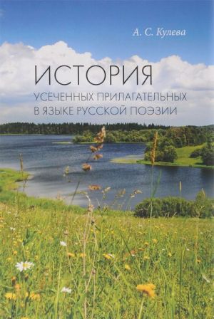 История усеченных прилагательных в языке русской поэзии