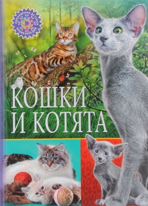 Koshki i kotjata