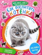 Как воспитать котенка (+ наклейки)