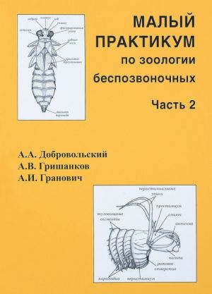 Malyj praktikum po zoologii bespozvonochnykh. Chast 2