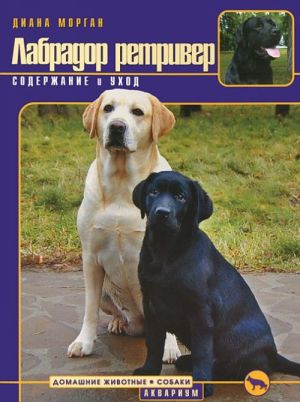 Labrador retriver. Soderzhanie i ukhod