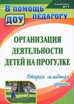 Организация деятельности детей на прогулке. Вторая младшая группа