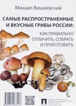 Самые распространенные и вкусные грибы России. Как правильно отличить, собрать и приготовить