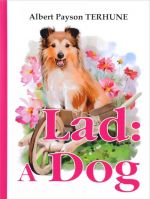 Lad: A Dog