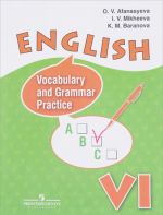 Anglijskij jazyk. 6 klass. Leksiko-grammaticheskij praktikum. Uchebnoe posobie