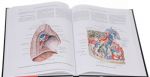 Atlas anatomii cheloveka. Uchebnoe posobie. V 4 tomakh. Tom 2. Uchenie o vnutrennostjakh i endokrinnykh zhelezakh