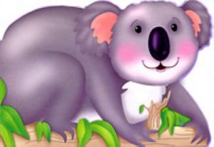 Koala-sonja.