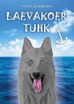 Laevakoer tuhk