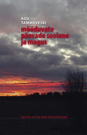 Mööduvate päevade soolane ja magus. seitse juttu ühe pealkirjaga