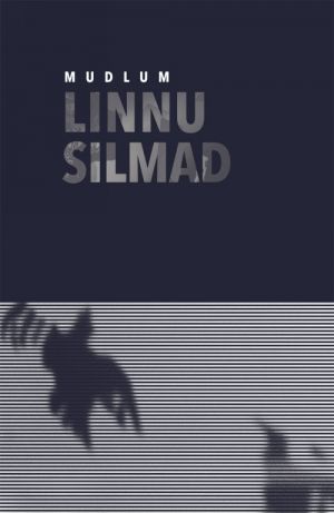 Linnu silmad