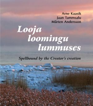 Looja loomingu lummuses