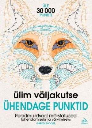 Ülim väljakutse. ühendage punktid