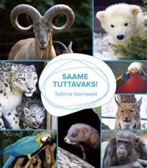 Saame tuttavaks!