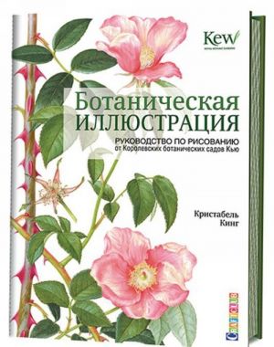 Botanicheskaja illjustratsija.Rukovodstvo po risov.ot Korolevskikh botanich.sadov Kju