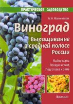 Vinograd. Vyraschivanie v srednej polose Rossii. Vybor sorta. Posadka i ukhod. Podgotovka k zime