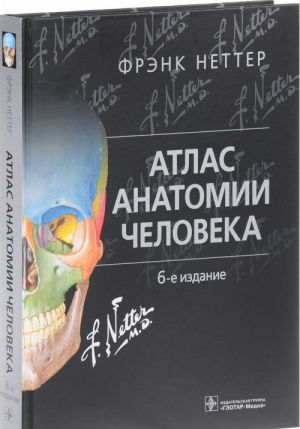 Atlas anatomii cheloveka.6