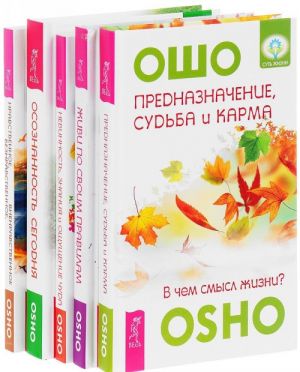 Prednaznachenie, sudba i karma. Zhivi po svoim pravilam. Nevinnost, znanija i oschuschenie chuda. Osoznannost segodnja. Nravstvennoe, beznravstvennoe, vnenravstvennoe (komplekt iz 5 knig)