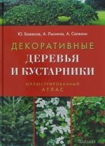 Атлас-определитель. Декоративные деревья и кустарники