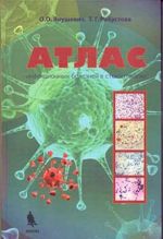 Atlas infektsionnykh boleznej v stomatologii