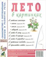 Лето в картинках. Наглядное пособие для педагогов, логопедов, воспитателей и родителей