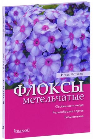 Флоксы метельчатые