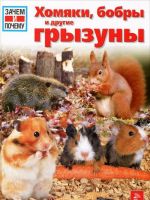 Хомяки, бобры и другие грызуны