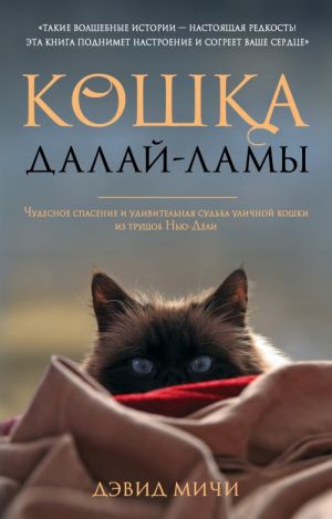 Кошка Далай-Ламы. Чудесное спасение и удивительная судьба уличной кошки из трущоб Нью-Дели