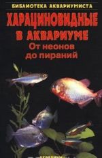 Харациновидные в аквариуме. От неонов до пираний