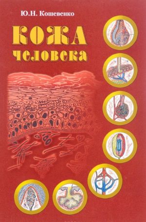 Kozha cheloveka. Struktura, fiziologija i prednaznachenie funktsionalnykh elementov kozhnogo organa cheloveka